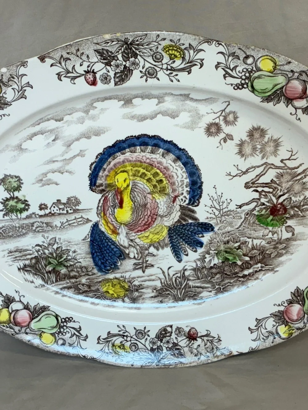 Vintage Turkey Thanksgiving Large Oval Serving Platter